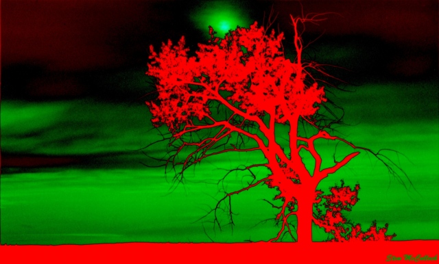 Mars Prairie Scene