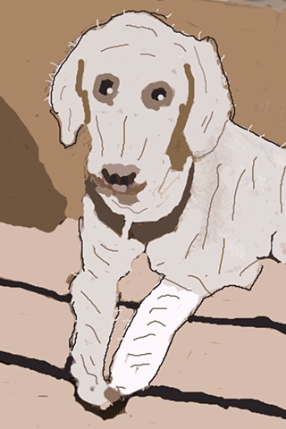 Standard Paint