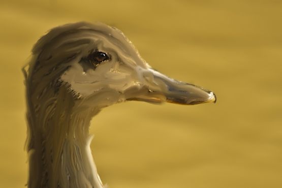 a photoshop painting