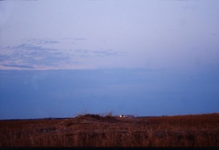 Pile of Straw