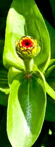 Hey Bud!!