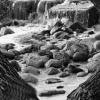 Grant's Mill