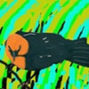 Yellow Headed Blackbird
