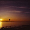 Flying to the Sun