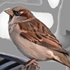 Sparrow on a Rail