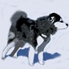 Dog in the Wind