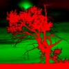 Mars Prairie Scene