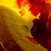 sunspot