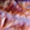 Scar on Steve