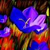 Doug's Garden