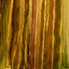 The Forest for the Trees