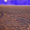 Plowed Field