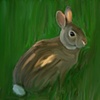 Cute Li'l Bunny