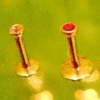 EARHENGE