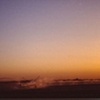 Watering at Sunrise