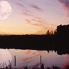 Moon over Swamp