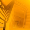  Into the Fog