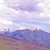 The other view