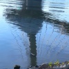 Esplinade in reflection