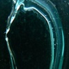 River in Glass