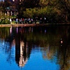 Pavillion Reflected