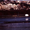 White Rock's white rock