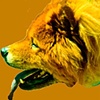 Hound again