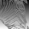 Zebra bas relief
