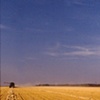 Saskatchewan
