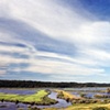 Swamp under Clouds