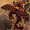 Flying Frog by Sheldon Dawson