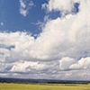 Tall Sky