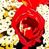 Rose and Roadies