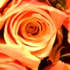 Tie a Yellow Rose on your Wall