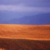 Field & Mountains