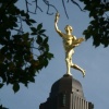 Golden Boy Framed