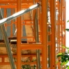 Scaffolding 2