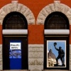 My New Gallery
