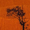 Tree in Field
