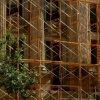 Scaffolding