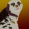 Meercat