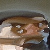 Baseline, detail