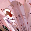 Nordic Ski Track #2