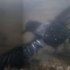 image by Dianne Davis
2011