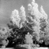 infrared testing, 2007