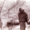 saint francis, 2007