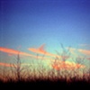 gaviota (evening), 2010
