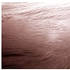 bodysurf sensations, 2009