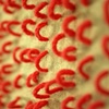 Loops (Detail)