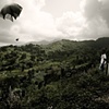 parachute